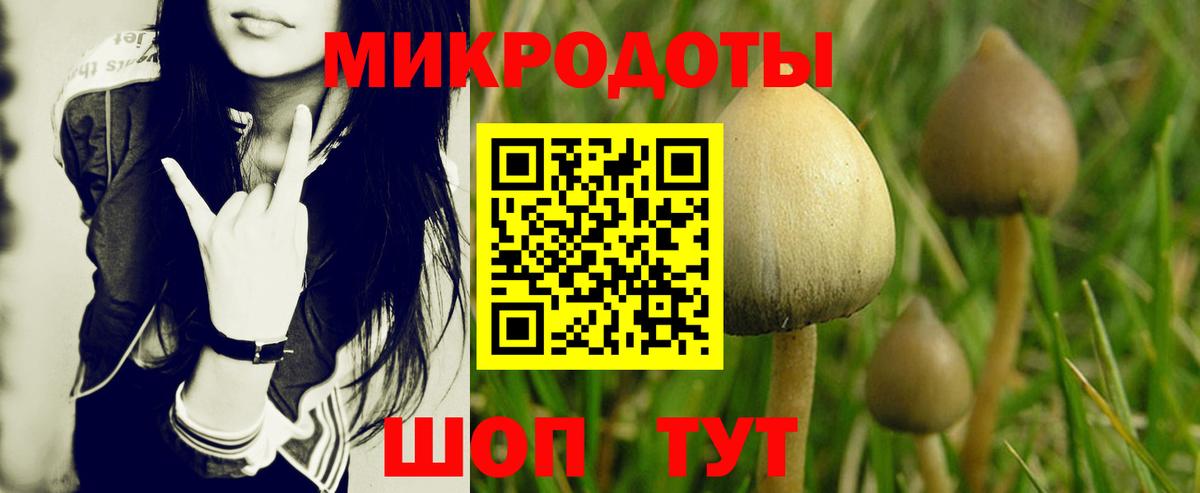 Галлюциногенные грибы MAGIC MUSHROOMS Калуга